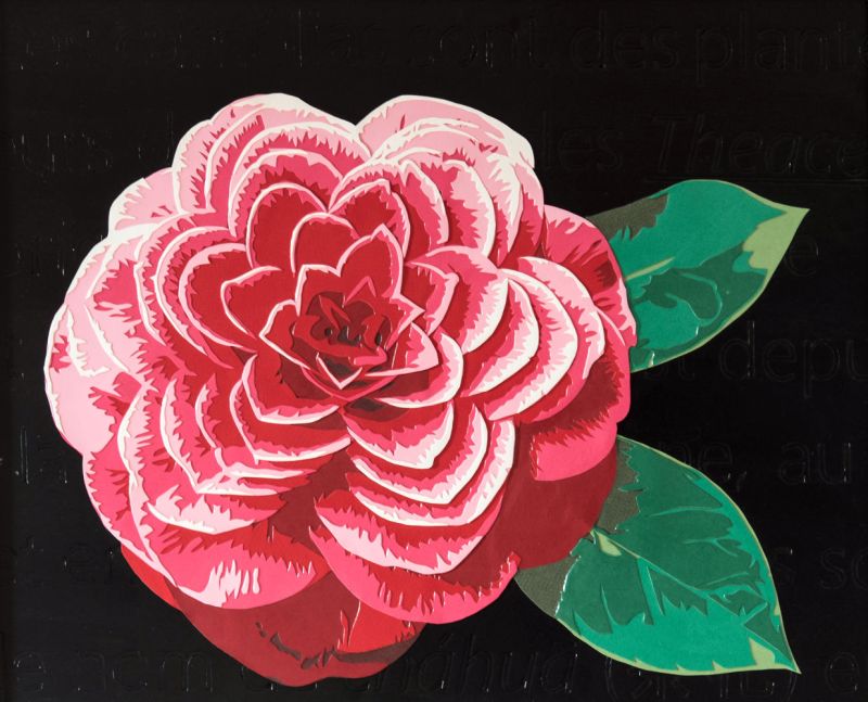 Jolie fleur rouge en découpage collage papier sur fond noir avec des mots gravés. Par Carole b.