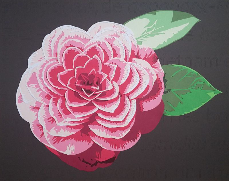 Une fleur de Camélia sur fond de définition Wikipedia, taillée dans le papier à la pointe de mon scalpel... Découpage collage, Carole b