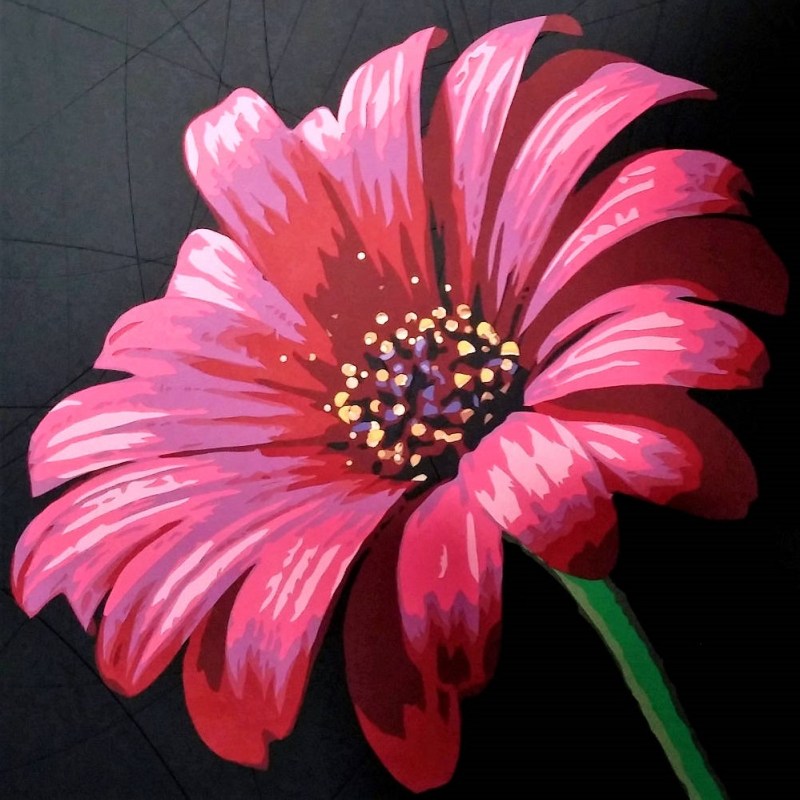 Asteraceae ou fleur de soucis rose rouge. fond noir. Découpage collage papier Carole b